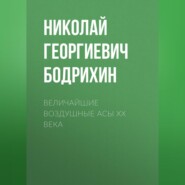 бесплатно читать книгу Величайшие воздушные асы XX века автора Николай Бодрихин