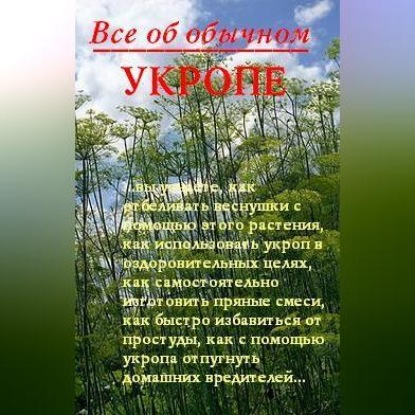 Все об обычном укропе