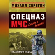 бесплатно читать книгу В каменном мешке автора Михаил Серегин