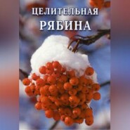 бесплатно читать книгу Целительная рябина автора Иван Дубровин