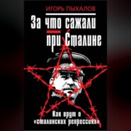 бесплатно читать книгу За что сажали при Сталине. Как врут о «сталинских репрессиях» автора Игорь Пыхалов