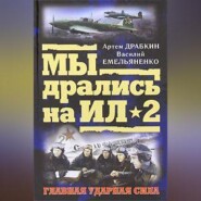 бесплатно читать книгу Ил-2 атакует. Огненное небо 1942-го автора Василий Емельяненко