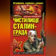 бесплатно читать книгу Чистилище Сталинграда. Штрафники, снайперы, спецназ (сборник) автора Владимир Першанин