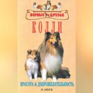 бесплатно читать книгу Колли автора Л. Обух