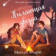 бесплатно читать книгу Пылающая звезда автора Мехтап Фырат