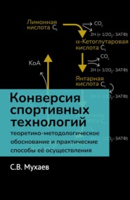 бесплатно читать книгу Конверсия спортивных технологий. Теоретико-методологическое обоснование и практические способы её осуществления автора Сергей Мухаев