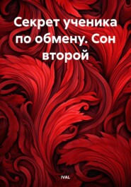 бесплатно читать книгу Секрет ученика по обмену. Сон второй автора  IVAL