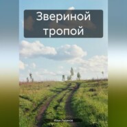 бесплатно читать книгу Звериной тропой автора Илья Луданов