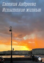 бесплатно читать книгу Испытание жизнью автора Евгения Андреева