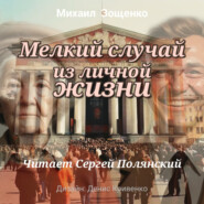 бесплатно читать книгу Мелкий случай из личной жизни автора Михаил Зощенко