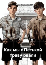 бесплатно читать книгу Как мы с Петькой траву рвали автора Виктор Лукьяненко