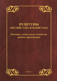 бесплатно читать книгу Пуштуны Афганистана и Пакистана. Племена, кланы, рода, семейства, районы проживания автора Владимир Паутов