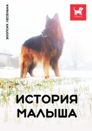 бесплатно читать книгу История Малыша автора Алеся Малишевская