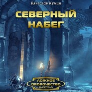 бесплатно читать книгу Северный набег автора Вячеслав Кумин