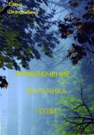 бесплатно читать книгу Приключение мальчика Гоши автора Елена Шкандыбина