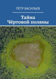 бесплатно читать книгу Тайна Чёртовой поляны автора Пётр Васильев