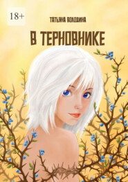 бесплатно читать книгу В терновнике автора Татьяна Володина