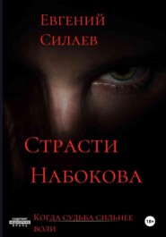 бесплатно читать книгу Страсти Набокова автора Евгений Силаев
