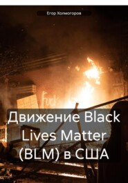 бесплатно читать книгу Движение Black Lives Matter (BLM) в США автора Егор Холмогоров