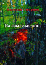 бесплатно читать книгу На языке молнии автора Валерий Смирнов