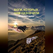 бесплатно читать книгу Боги, которых нам назначили автора Владимир Зорев
