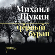 бесплатно читать книгу Черный буран автора Михаил Щукин