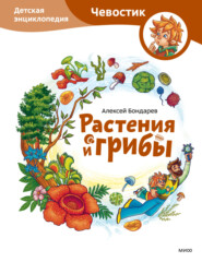 бесплатно читать книгу Растения и грибы. Детская энциклопедия автора Алексей Бондарев