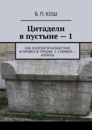 бесплатно читать книгу Цитадели в пустыне – 1. Как я копал в Казахстан и провел в Турции. 1. Стамбул – Алматы автора Б. Кош