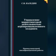 бесплатно читать книгу Управление маркетинговой деятельностью агропромышленного холдинга автора Сергей Каледин