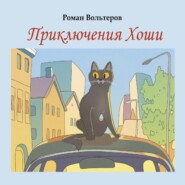 бесплатно читать книгу Приключения Хоши автора Роман Вольтеров