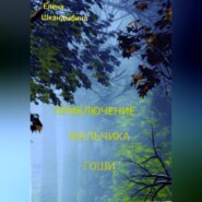 бесплатно читать книгу Приключение мальчика Гоши автора Елена Шкандыбина