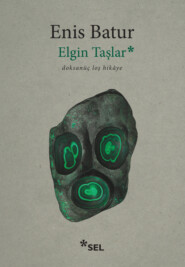 бесплатно читать книгу Elgin Taşlar - doksanüç loş hikâye автора Enis Batur