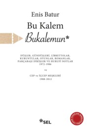 бесплатно читать книгу Bu Kalem Bukalemun автора Enis Batur