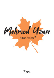 бесплатно читать книгу Bîra Qederê автора Mehmed Uzun