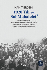 бесплатно читать книгу 1920 Yılı ve Sol Muhalefet автора Hamit Erdem