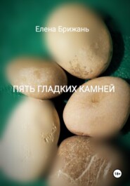 бесплатно читать книгу Пять гладких камней автора Елена Брижань