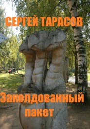 бесплатно читать книгу Заколдованный пакет автора Сергей Тарасов