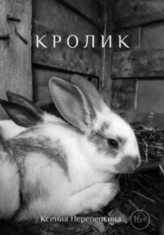 бесплатно читать книгу Кролик автора Ксения Перепелкина