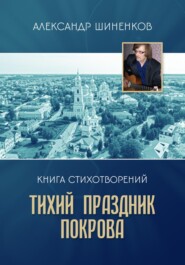 бесплатно читать книгу Тихий праздник покрова автора Александр Шиненков