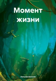 бесплатно читать книгу Момент жизни автора Лепунов Евгений