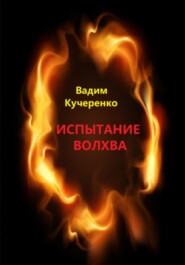 бесплатно читать книгу Испытание волхва автора Вадим Кучеренко