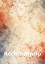 бесплатно читать книгу Rechtsprinzip автора Андрей Тихомиров