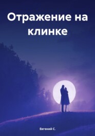 бесплатно читать книгу Отражение на клинке автора Евгений С.