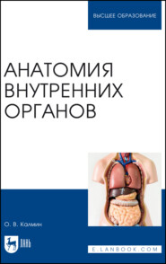 бесплатно читать книгу Анатомия внутренних органов. Учебное пособие для вузов автора Олег Калмин