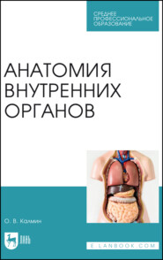 бесплатно читать книгу Анатомия внутренних органов. Учебное пособие для СПО автора Олег Калмин
