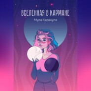 бесплатно читать книгу Вселенная в кармане автора Муля Каракуля