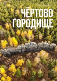 бесплатно читать книгу Чёртово Городище автора Павел Распопов