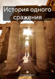 бесплатно читать книгу История одного сражения автора Екатерина Франк