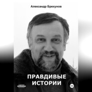 бесплатно читать книгу Правдивые истории автора Александр Брехунов