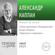 бесплатно читать книгу Лекция «Перегрузки и медитации» автора Александр Каплан